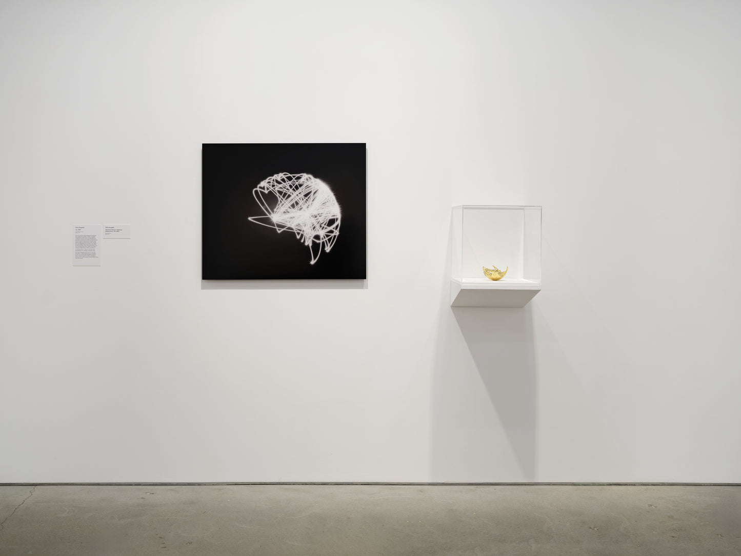 DATA Consciousness gallery installation view of Maximum Distance Minimum Displacement series by Staple Crops Studio
