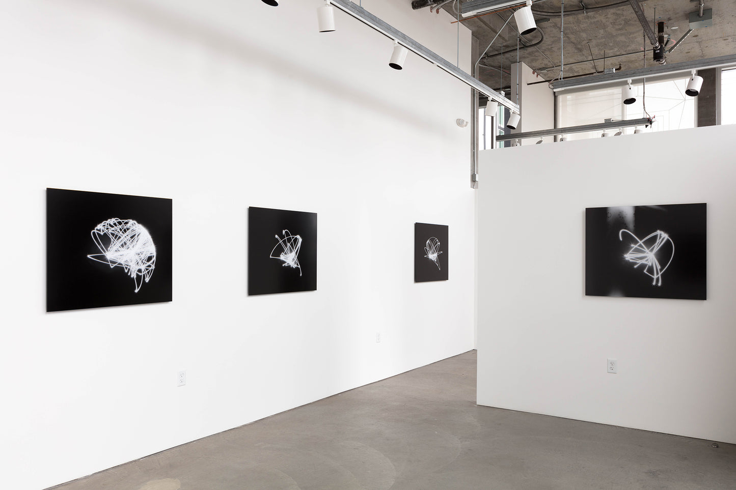 Gallery installation view of Maximum Distance Minimum Displacement series by Staple Crops Studio